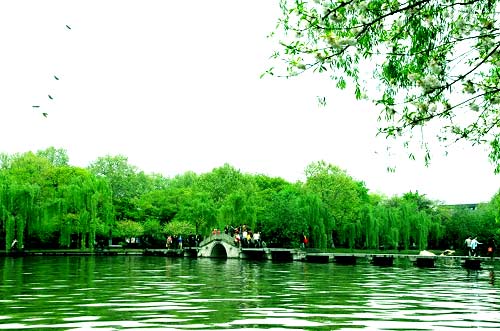 春天3.jpg 春天3.jpg